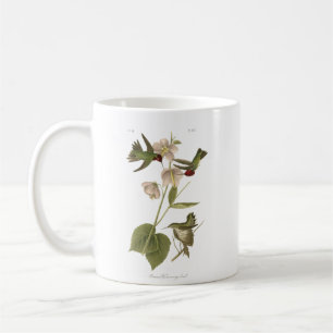 Taza De Café Small Anna Hummingbird
