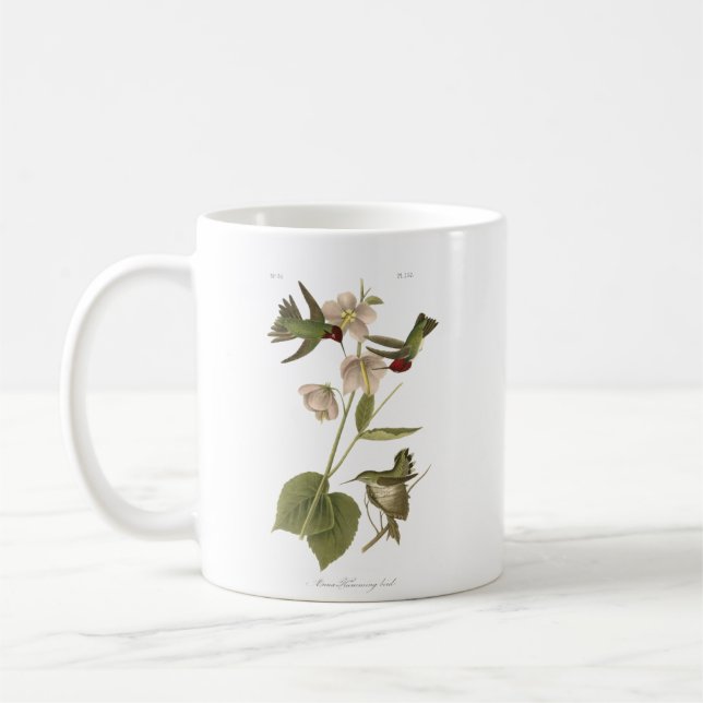 Taza De Café Small Anna Hummingbird (Izquierda)