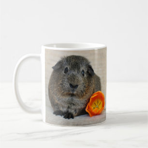 Taza De Café Smooth, Shorthair, Agouti Guinea Cerdo y amapola