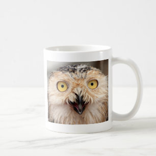 Taza De Café Snowy Owl