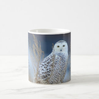 Taza De Café Snowy Owl Mug