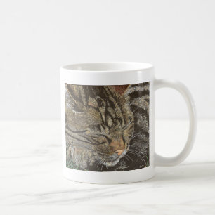 Taza De Café Soñador hermoso (tabby el dormir)