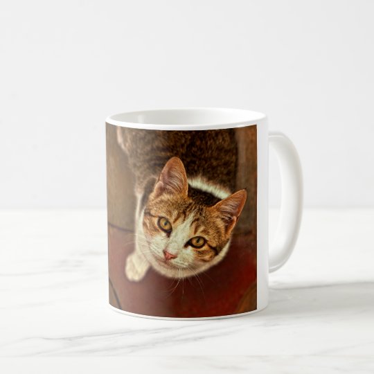 Taza De Café Sonrisa del gato