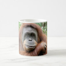 Sonrisa del orangután
