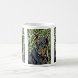 Taza De Café Sorpresa de la mariposa del Doberman