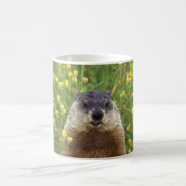 Taza De Café Soy Groundhog (Centro)