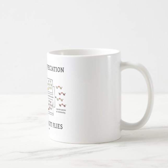 Taza De Café Speciation alopátrico entre moscas del vinagre (Derecha)