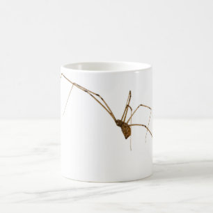 Taza De Café Spider
