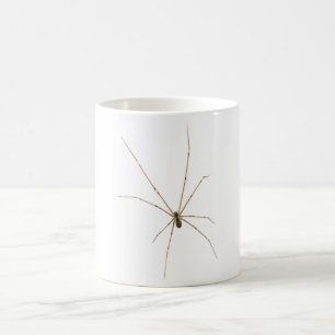 Taza De Café Spider