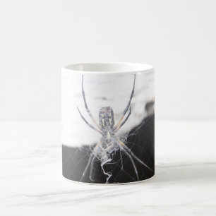 Taza De Café Spider Coffee Mug