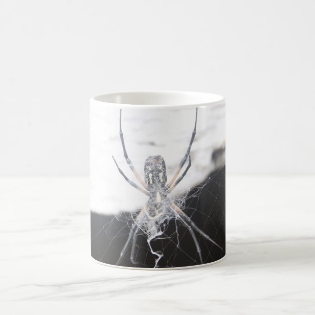 Taza De Café Spider Coffee Mug (Centro)