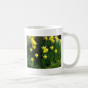 Taza De Café Spring Daffodils