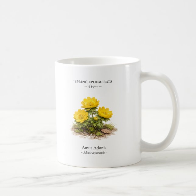 Taza De Café Spring Ephemerals of Japan – Amur Adonis (Derecha)