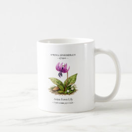 Taza De Café Spring Ephemerals of Japan – Asian Fawn Lily