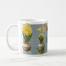 Taza De Café Spring flowers garden mug.