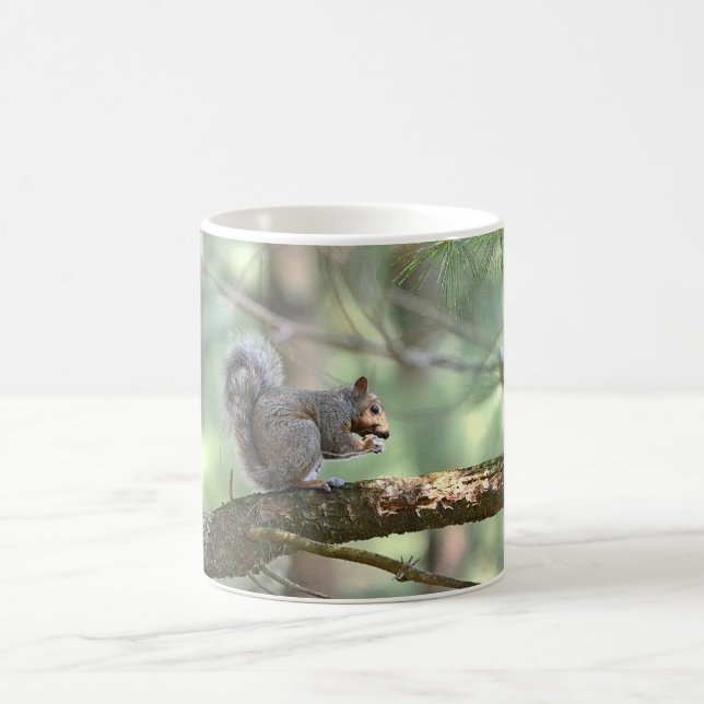 Taza De Café Squirrel Comer almuerzo Mug (Centro)