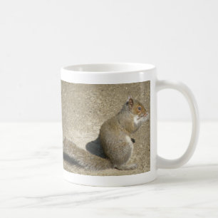 Taza De Café Squirrel Hungry Horatio Mug