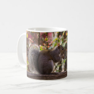 Taza De Café Squirrel tiempo tiempo café taza
