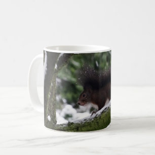 Taza De Café Squirrel Winter Photo Classic Mug