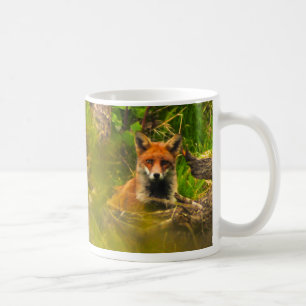 Taza De Café Sr. FOX