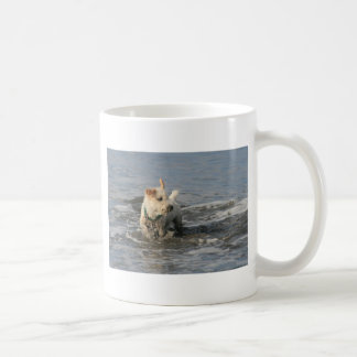 Taza De Café Sr. Pish en la playa de rubíes