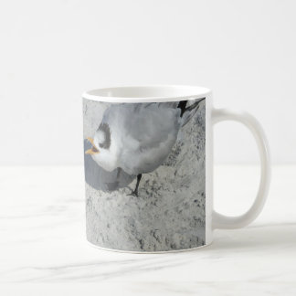 Taza De Café Sr. y señora Royal Tern en la playa