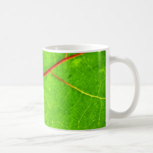 Taza De Café St Thomas 1
