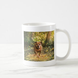 Taza De Café Staffordshire bull terrier