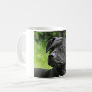 Taza De Café Staffordshire bull terrier