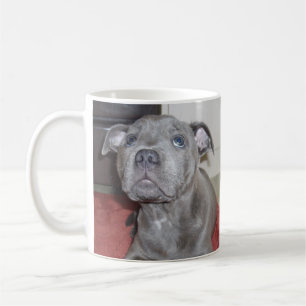 Taza De Café Staffordshire Bull Terrier Puppy Sooky Face,