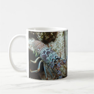 Taza De Café Starfish and Friends Coffee Mug