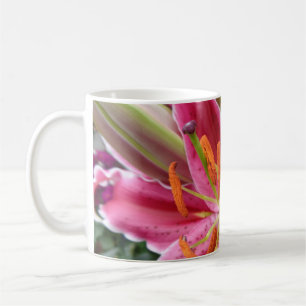 Taza De Café Stargazer