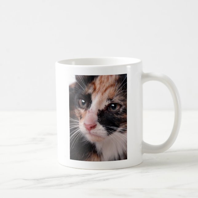 Taza De Café Stray Kitten (Derecha)