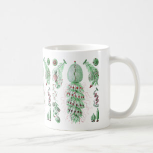 Taza De Café Strobalia