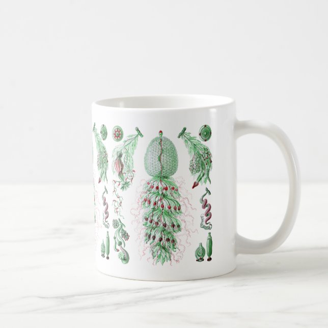 Taza De Café Strobalia (Derecha)