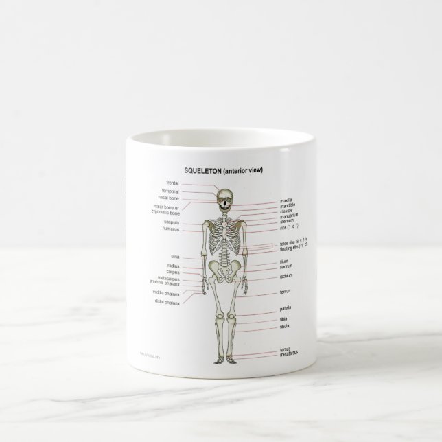 Taza De Café StudyThem deshuesa… (Centro)