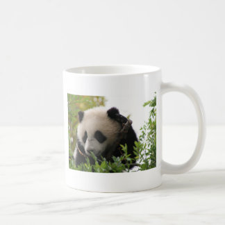 Taza De Café Su Lin, cachorro de oso de panda gigante en el