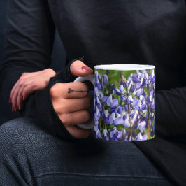 Taza De Café Subalpino Púrpura Lupina Floral