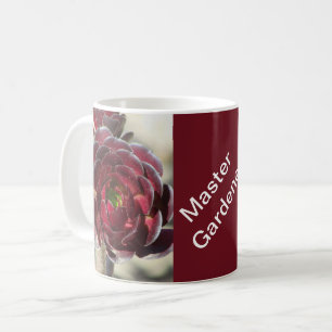 Taza De Café Suculenta foto del desierto Master Gardener Planta