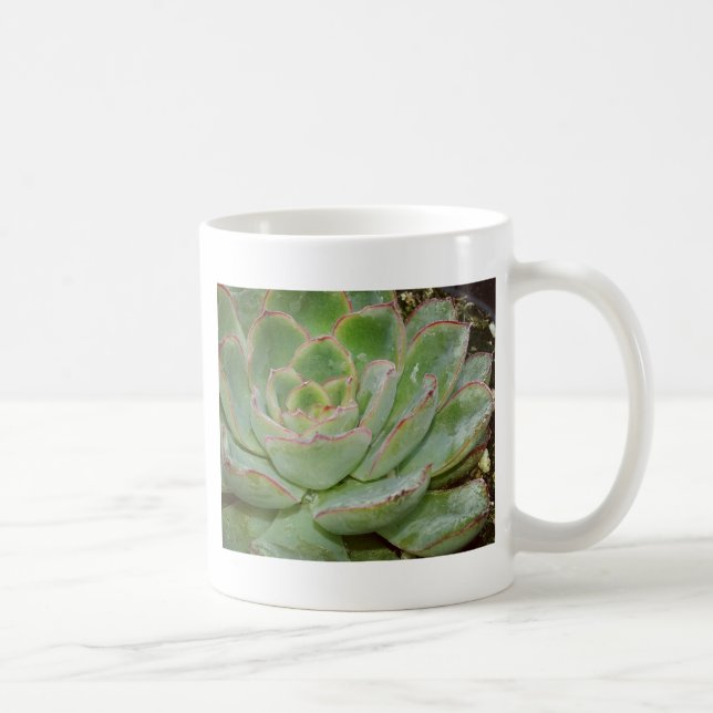 Taza De Café Suculenta planta (Derecha)