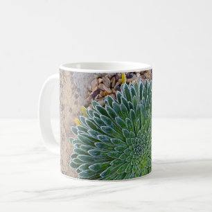 Taza De Café Suculenta planta del desierto