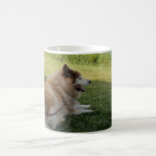 Taza De Café Suka Disfrutando Cape George