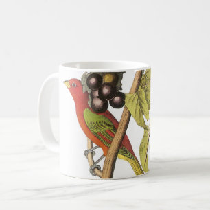 Taza De Café Summer Tanager, de Audubon