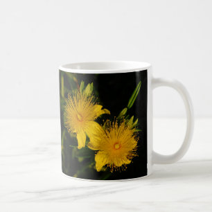 Taza De Café Sunburst Flowers Mug