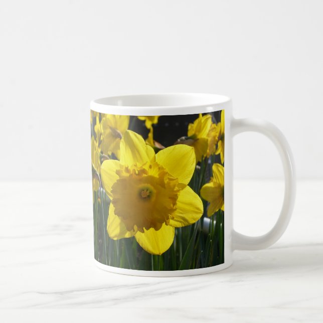 Taza De Café Sunlit Daffodil (Derecha)
