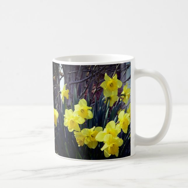 Taza De Café Sunny Spring Daffodils  (Derecha)