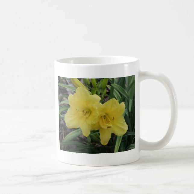 Taza De Café Sunny Yellow Daylilies (Derecha)