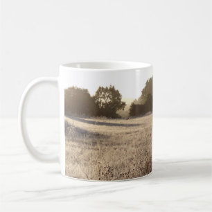Taza De Café Sunrise at Bear Valley Trailhead Landscape