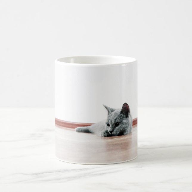 Taza De Café Súper Cuto de Gato Gato Frío de Escocia (Centro)