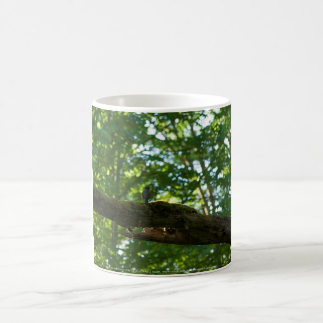 Taza De Café Superficie forestal (Centro)